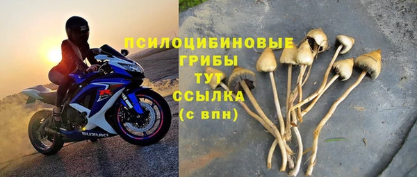 spice Алексин