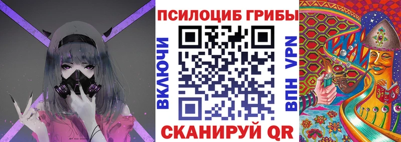 наркотики  Ликино-Дулёво  omg как войти  Псилоцибиновые грибы прущие грибы 